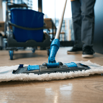 Regular Cleaning Services in Danvers, MA Regular Cleaning Services in Danvers, MA